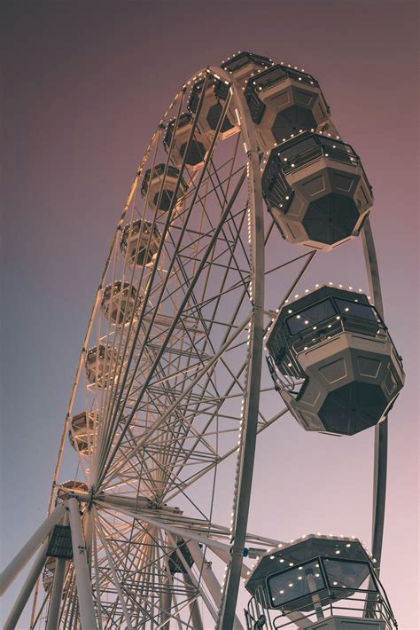 ferris wheel  golden hour  stock photo