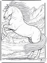 Coloring Realistic Horse sketch template