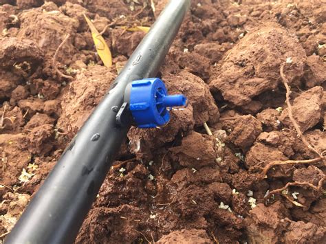 ultra  energy drip irrigation helps small farmers save water energy