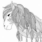 Colorare Adulti Cavalli Cavallo sketch template
