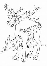 Deer Reh Rentier Hirsch Ausmalbild Tulamama Rudolph Coloringhome Ceylan sketch template