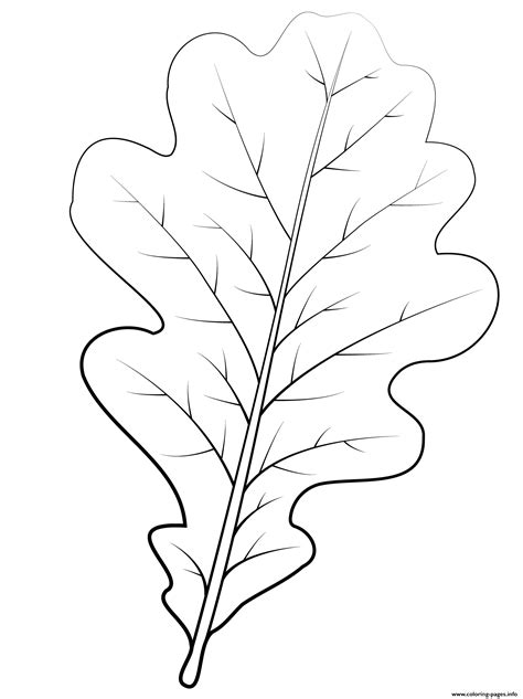 english oak leaf coloring page printable