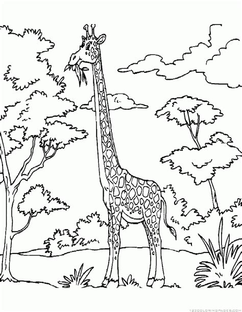 giraffe coloring pages part