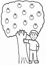 Coloring Pages Tree Apple sketch template