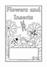 Insects Sparklebox Editable Minibeasts sketch template