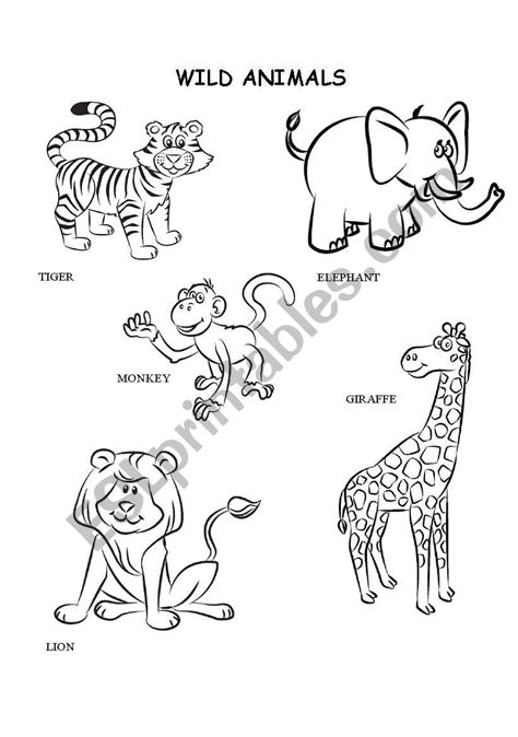 wild animal coloring pages  ocean animals coloring pages