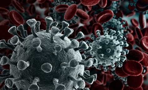technology firms  china  fight  coronavirus outbreak