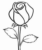 Bunga Mawar Sketsa Sederhana Menggambar Pelajarindo sketch template