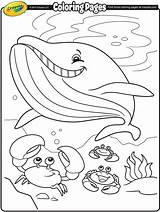 Coloring Pages Whale Crayola Summer Kids Color Printable Christmas Sea Sheets Under Template Print Book Shark 색칠 도안 Alive Getcolorings sketch template