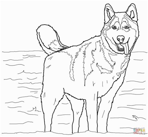siberian husky coloring pages dog coloring page puppy coloring pages