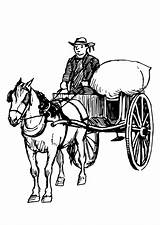 Horse Coloring Cart Pages Buggy Vehicles Getcolorings Edupics sketch template