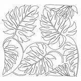 Coloring Jungle Leaf Leaves Drawing Pages Tropical Fall Tree Rainforest Google Realistic Printable Drawings Search Plants Lion Habitat Rain Forest sketch template