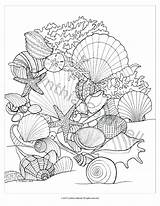 Coloring Pages Sea Shells Printable Seashells Beach Para Colouring Seashell Color Adult Book Colorear Mar Fish Mandala Etsy Print Dibujos sketch template