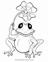 Coloring Pages Frog Leapfrog Red Eye Tree Printable Getcolorings sketch template