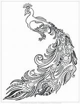Peacock Coloring Pages Paisley Getcolorings sketch template