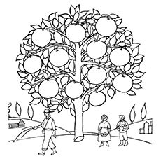 orange coloring pages  toddlers