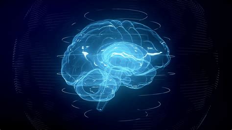 futuristic blue digital brain seamless loop stock motion graphics sbv  storyblocks