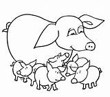 Porcos Porco Sau Imagens Ausmalbilder Ferkeln Animais Pigs Outline Kolorowanki Porquinhos Schwein sketch template