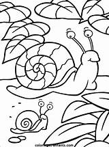 Escargot Maternelle Magique Escargots Caracoles Coloriages épinglé Enfants Collecti Colorier Vivant Top18 Userrank sketch template