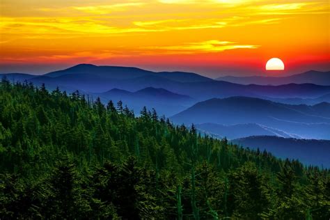 smoky mountains national park sets visitor record