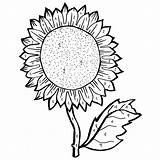 Sunflower Coloring Pages Drawing Adults Line Color Seeds Sunflowers Sheets Ve Getdrawings Printable Print Drawings Sheet Young Survival Butting Getcolorings sketch template