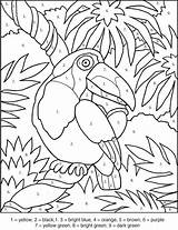 Color Number Toucan Coloring Kids Pages Numbers Games Colour Worksheets Education Adult Printable Numeros Printables Worksheet Pintar Sheets Bird Por sketch template