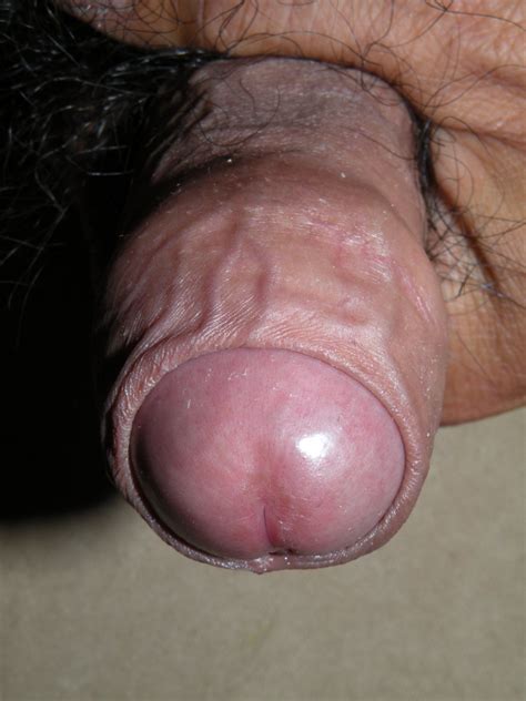 meaty uncut penis bobs and vagene
