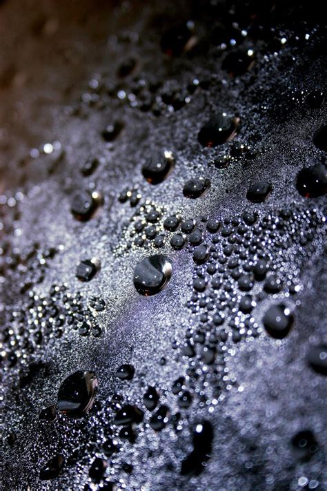 bubbly bubbly  photo  freeimages