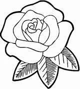 Rose Outline Coloring Pages Drawing Clipartix sketch template