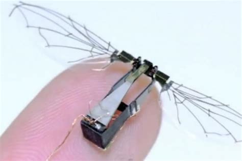 future  micro drones  mosquito flight patterns prv engineering blog