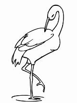 Crane Bird Drawing Leg Coloring Pages Stands Pencil Netart Sketch Getdrawings Realistic sketch template