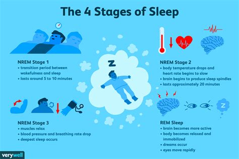 what happens to your brain when you sleep the 4 stages of sleeping