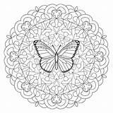 Mandala Schmetterling Farfalla sketch template