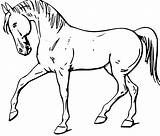 Horse Drawing Outlines Clipart Getdrawings sketch template