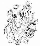 Botany Omeletozeu Horse sketch template