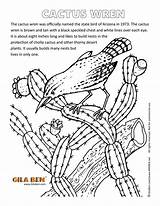 Arizona State Coloring Pages Cactus Wren Canyon Bird Grand Symbols Clipart Color Print Getcolorings Printable Clipground Artwork Use sketch template
