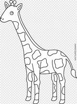 Giraffe Girafe Clipart Outline Jerapah Mewarnai Colorable Printable Tk Coloriages Colorier Giraff Giraffes Paud Svg Terupdate Colouring Sweetclipart Cricut sketch template