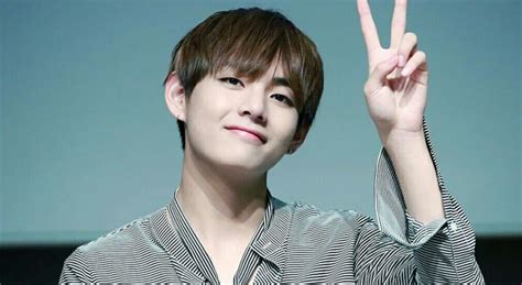 profil lengkap bts  umur fakta abs operasi plastik