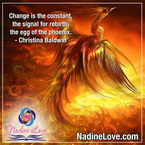 phoenix rebirth quotes quotesgram