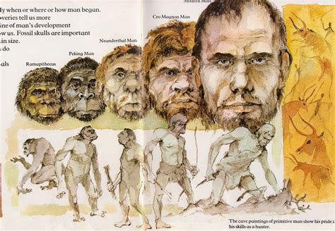 What Neanderthals Really Looked Like