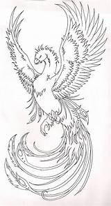 Phoenix Tattoo Coloring Bird Phönix Tattoos Pages Deviantart Drawing Colouring Stencil Der Für Erwachsene Vorlagen Zeichnung Japanese Color Aus Asche sketch template