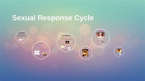 sexual response cycle by c d on prezi