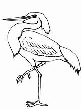Heron Wading Coloring Supercoloring Pages sketch template