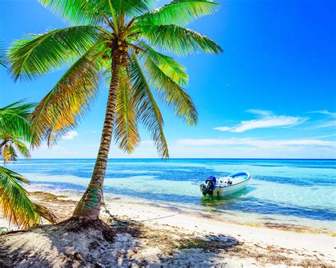 palmen strand boot meer blauer himmel tropisch sommer