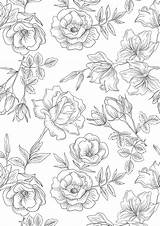 Floral Pages Colouring Sheets Printable Coloring Flower Adult Pattern Wallpaper Drawing Printables Flowers Color Patterns Gatheringbeauty Vintage Illustration Beautiful Colour sketch template