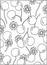 Coloring Cherry Pages Cherries Flowers Printable Blossom Pattern Clipart Categories Drawing Similar Library Popular Styles Book sketch template