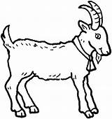 Goat Farm Coloring Animal Color sketch template
