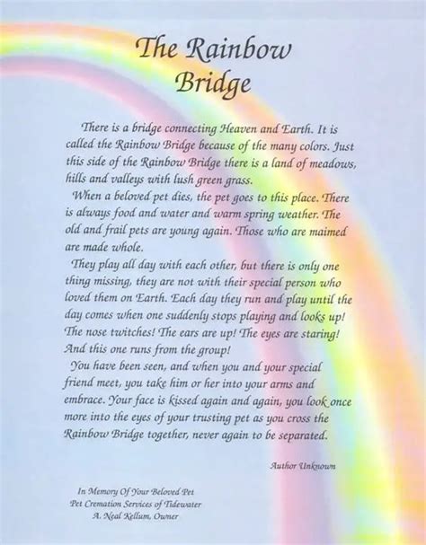 rainbow bridge poems