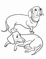 Coloring Dachshund Pages Dog Printable Sheets Coloringcafe Sausage Puppy Dachshunds Drawing Colouring Adult Animal Dogs Sheet Color Pdf Print Long sketch template