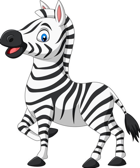 cute baby zebra posing isolated  white background  vector art